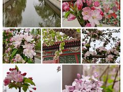 -海棠花溪(元大都城垣遗址公园)