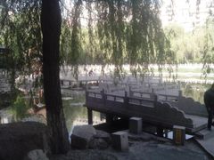 android_upload_pic-文瀛公园