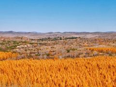 -塞罕坝国家级自然保护区