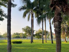 -深圳湾公园(南山区)