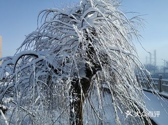 二O二O，注定是先苦后甜的！大家都会好好的！