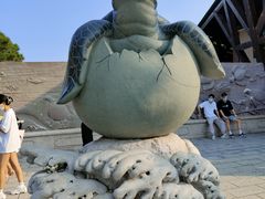 -广东惠东海龟国家级自然保护区