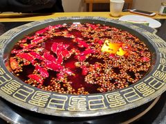 -一斗火锅·招财羊毛肚(北温泉九号店)
