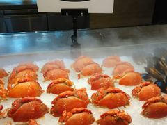-新发展亚太JW万豪酒店·福苑咖啡厅