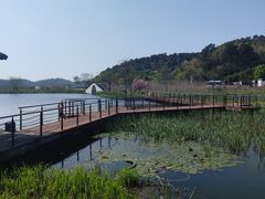 -东钱湖旅游度假区