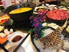 -鲜入围煮花胶鸡海鲜火锅