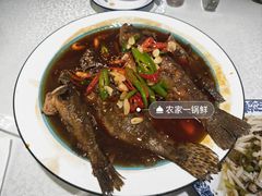 -呼吸森林·生态农庄农家乐私房菜