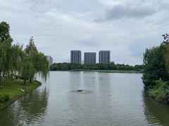 -南翔镇银翔湖公园