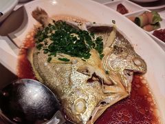 蒸黄鱼-俏江南-江景昆曲主题餐厅(正大广场店)