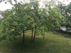 阳朔河畔度假酒店-广悦华阳朔河畔度假酒店(十里画廊遇龙河店)