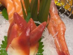 -吉兆·料理(红梅南路店)