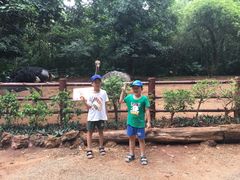 -海南热带野生动植物园