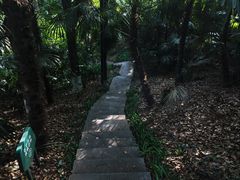 -北极阁公园