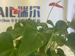 -瑞尔齿科(颐堤港诊所)