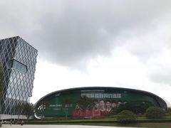 门面-华润深圳湾体育中心-“春茧” 体育馆