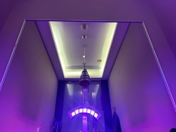 -史云逊养发护发