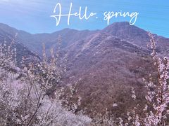 -阳台山自然风景区