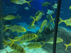 -福州罗源湾海洋世界旅游区