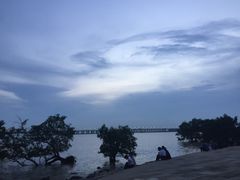 -宝安西湾红树林湿地公园