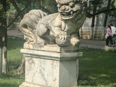 -昆明动物园