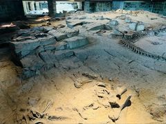 -自贡恐龙博物馆