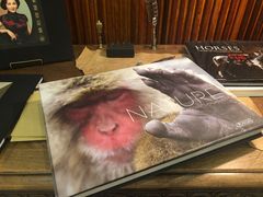 -MUSEE CAFE(保利·时光里店)