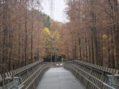 -福道
