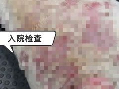 -奈斯宠物医院·核磁CT·异宠专科·内镜(中南店)
