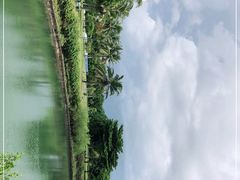 -万绿园