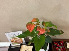 -灸春堂·艾灸·痛症·整脊连锁(之江银泰店)