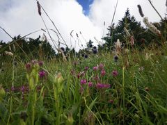 -白草畔自然风景区