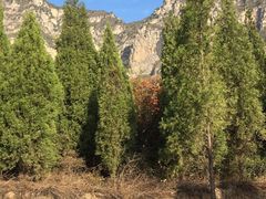 -神农山景区