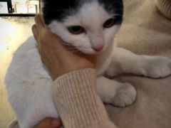 -么么咖啡(燕郊店)