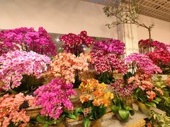 -双季花艺园艺市场(浦东店)