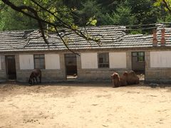 -昆嵛山石门里景区