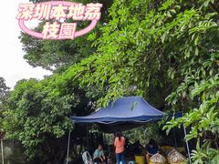 -大屏嶂森林公园