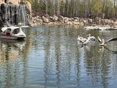 -大青山野生动物园