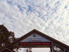 -中国大熊猫保护研究中心雅安碧峰峡基地