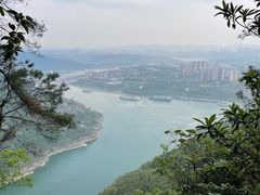 -铁山坪森林公园