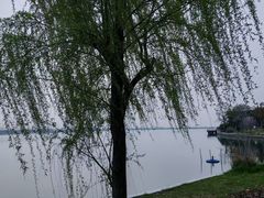 -漕湖湿地公园