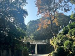 -西湖风景区十里琅珰-五云山