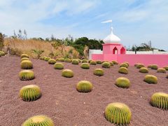 -漳州滨海火山岛自然生态风景区