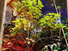 -渝半城经典川粤菜(重庆天地店)