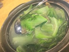 -鸽王世家(东华东路店)