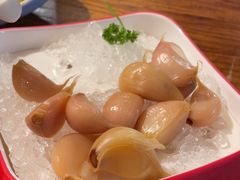 -额尔敦草原涮羊肉·烧烤(冻青树总店)