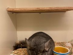 -龙猫仔乐园(惠福东路店)