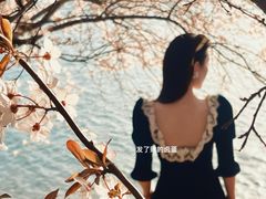 -丁香湖公园