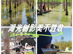 -泗洪洪泽湖湿地景区