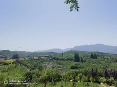 -白鹿原·白鹿仓