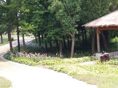 -同里国家湿地公园